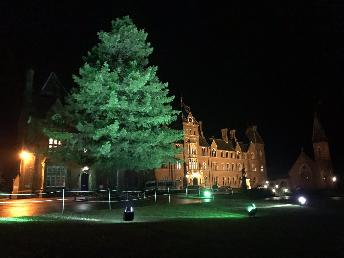 Festive tree (decorations optional 🎄) at Framlingham College