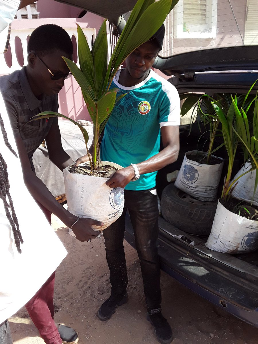 SenOxy9's tweet photo. #OPERATION_THIAROYE_VERT🍀!
Quelques images des derniers réglages de la journée de reboisement de #SenOxy ♻️avec le #RAJIT.
NB: Toutes les dispositions sont prises pour le respect stricte des mesures pour barrer la route à la COVID19.
#kebetu @ibrahimthiaw
@SenOxy9 ♻️
@ABG_49 🌱 https://t.co/QQzhlDWBat