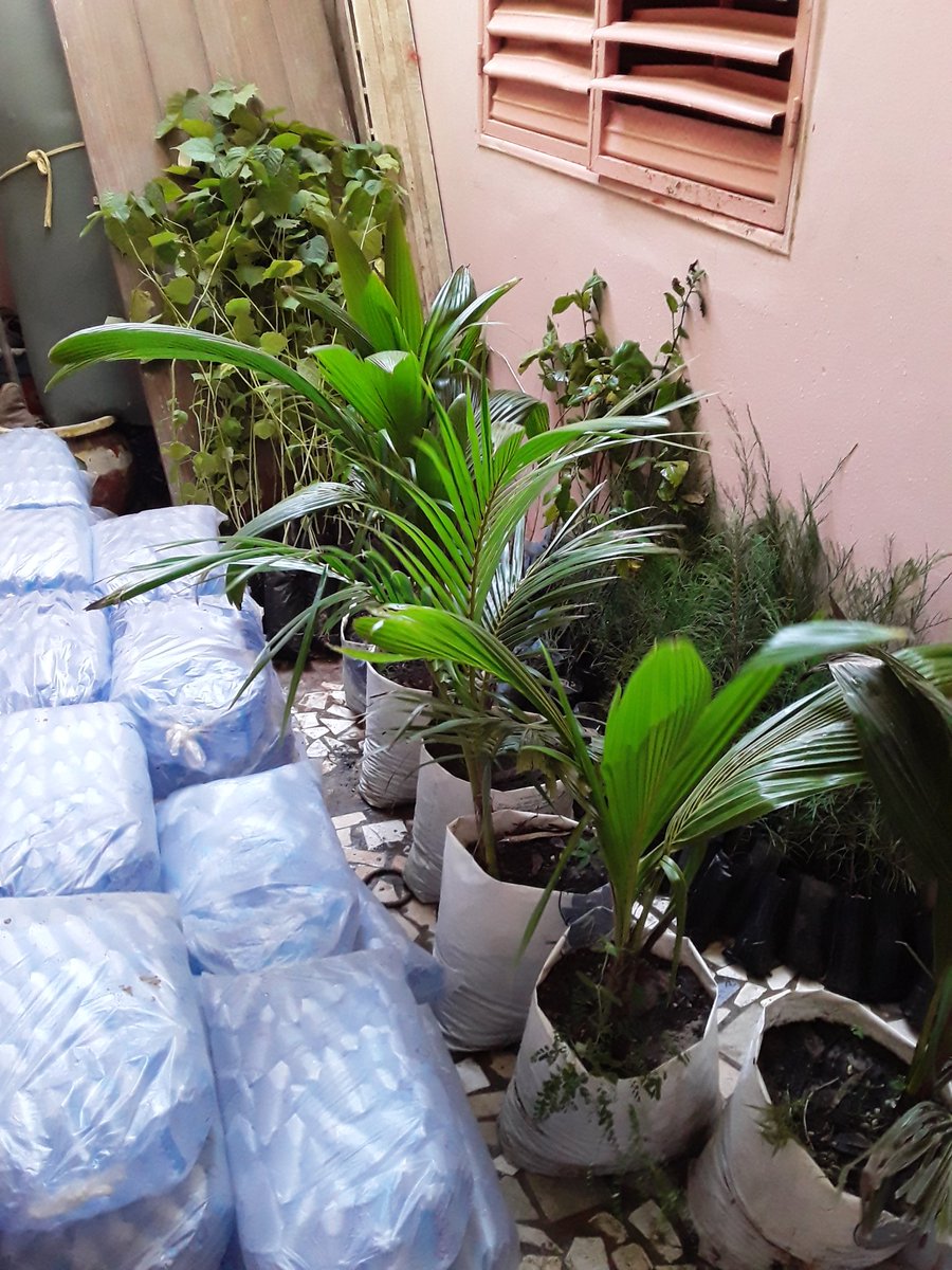 SenOxy9's tweet photo. #OPERATION_THIAROYE_VERT🍀!
Quelques images des derniers réglages de la journée de reboisement de #SenOxy ♻️avec le #RAJIT.
NB: Toutes les dispositions sont prises pour le respect stricte des mesures pour barrer la route à la COVID19.
#kebetu @ibrahimthiaw
@SenOxy9 ♻️
@ABG_49 🌱 https://t.co/QQzhlDWBat