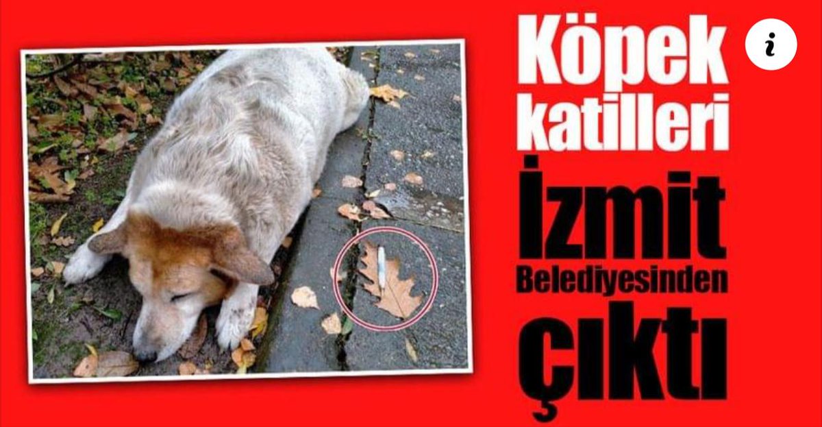 Bu katliam karşısında tek ses tek yürek olma vakti...
#KöpekKatiliİzmitBelediyesi