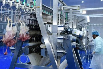 NextLevelAmbas1's tweet photo. One of the biggest chicken processing factories is ready to be launched for operations in Calabar. The plant is expected to process 24,000 chickens daily. 

May Nigeria🇳🇬Succeed 👏 https://t.co/EkRlzjINlM https://t.co/iEkNohkz4o