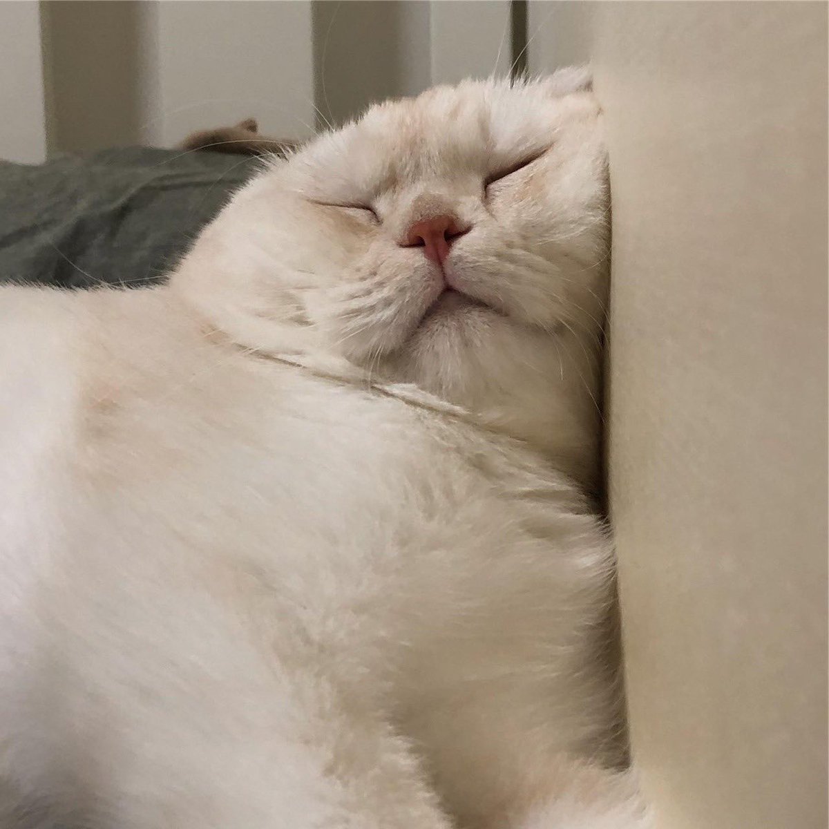 good nite krub ilysm 🖤