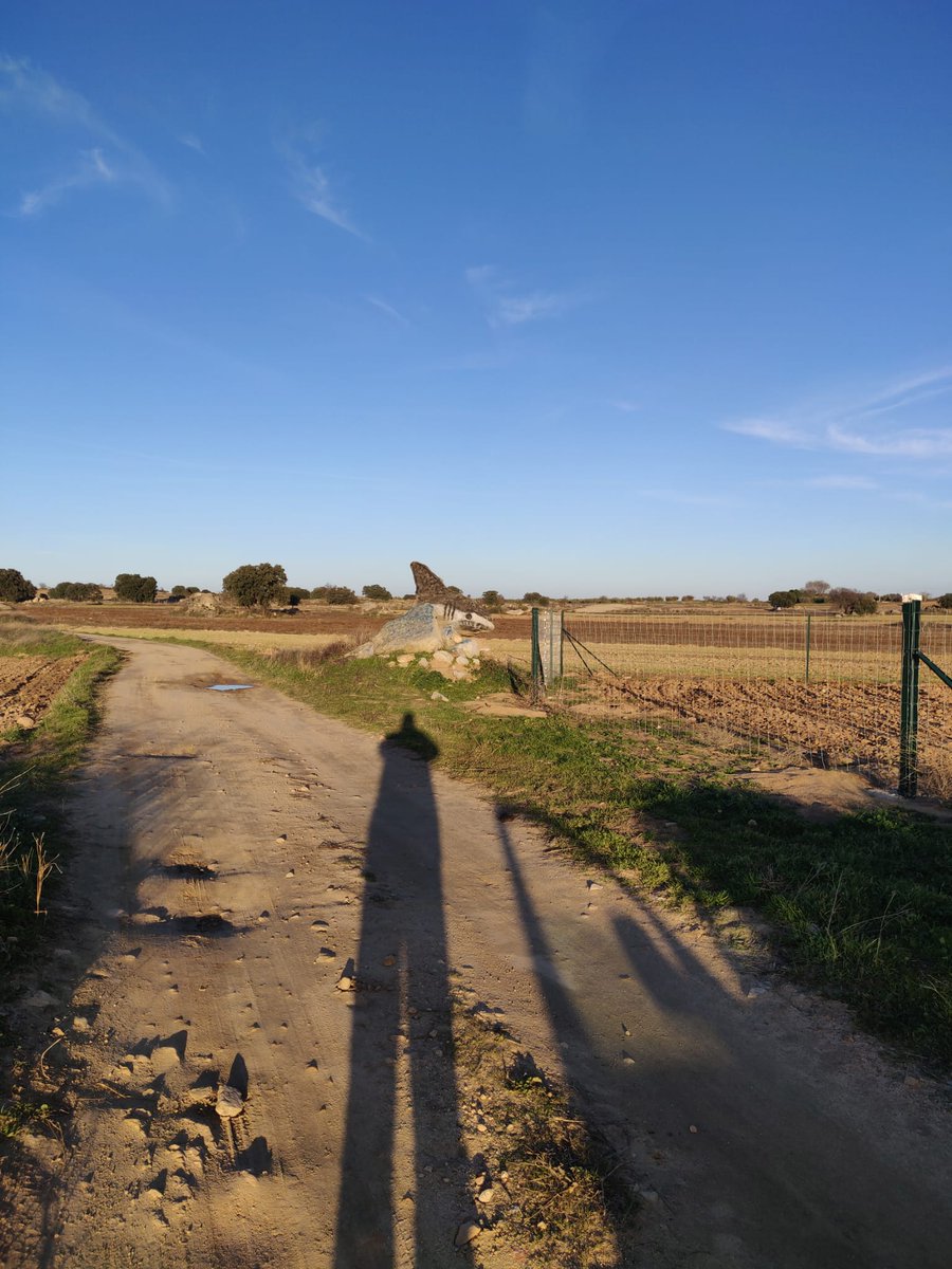 ernesto peces (@peces81) on Twitter photo 