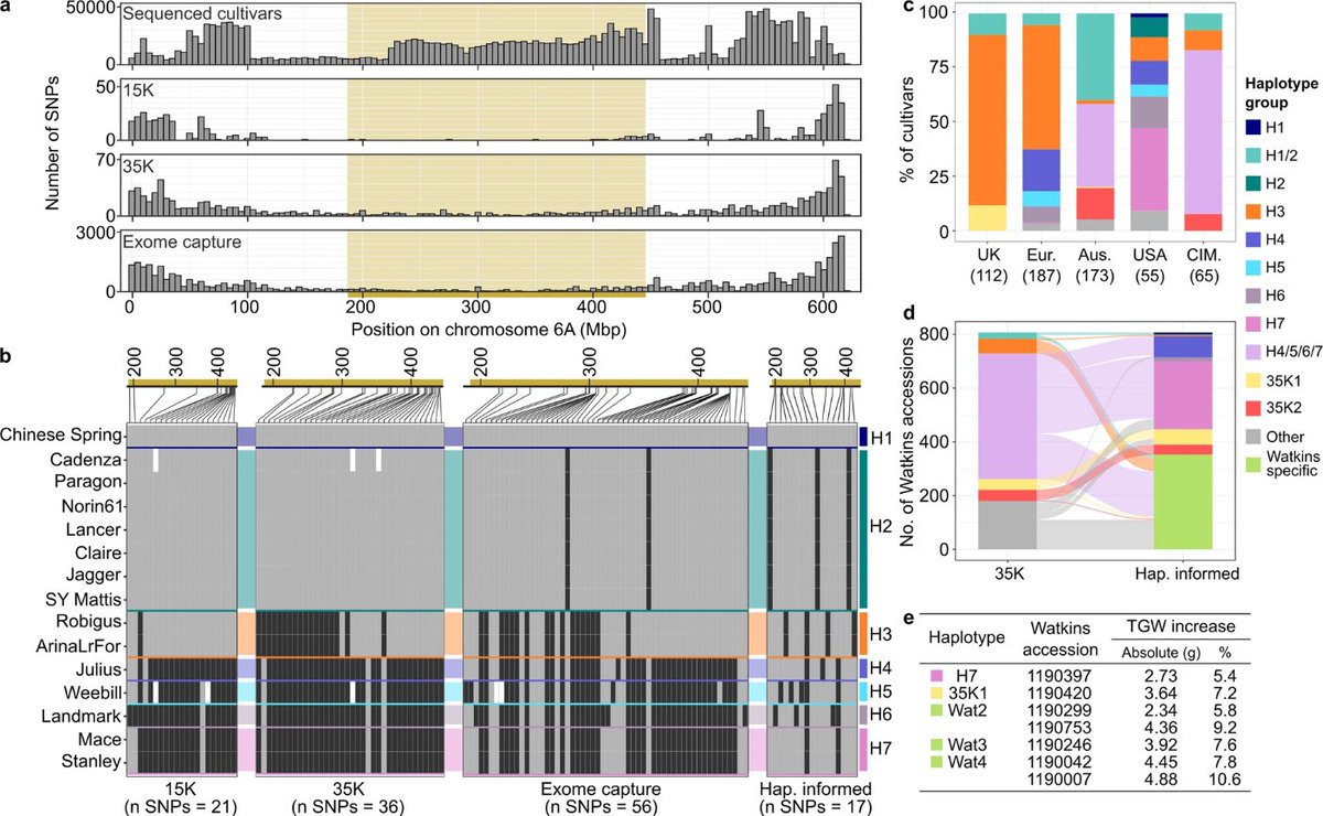 Communications Biology (@commsbio) on Twitter photo <a href="/JemimaBrinton/">Jemima Brinton</a> <a href="/CristobalUauy/">Cristobal Uauy</a> <a href="/CurtisPozniak/">Curtis Pozniak</a> <a href="/simmojsimmo/">James Simmonds</a> <a href="/homonecloco/">homonecloco</a> et al. used genomic data to develop tool for studying and generating wheat cultivars that brings newfound precision and efficient to wheat breeding. <a href="/JohnInnesCentre/">John Innes Centre</a>
nature.com/articles/s4200… <a href="/JemimaBrinton/">Jemima Brinton</a> <a href="/CristobalUauy/">Cristobal Uauy</a> <a href="/CurtisPozniak/">Curtis Pozniak</a> <a href="/simmojsimmo/">James Simmonds</a> <a href="/homonecloco/">homonecloco</a> et al. used genomic data to develop tool for studying and generating wheat cultivars that brings newfound precision and efficient to wheat breeding. <a href="/JohnInnesCentre/">John Innes Centre</a>
nature.com/articles/s4200…