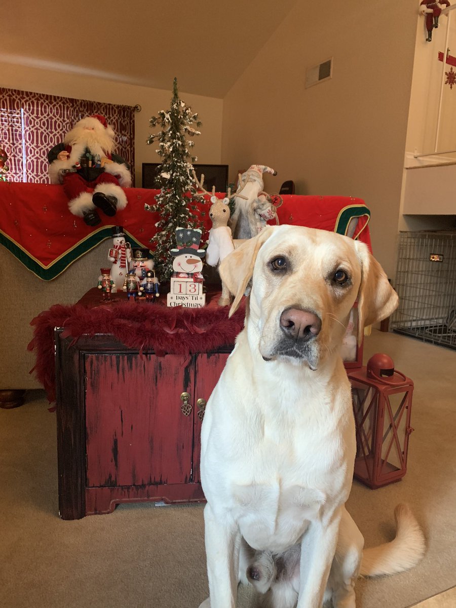OGinSD's tweet photo. Big H turns 3 today! Ready for a fun day with Dad. https://t.co/ds05lgbm6t