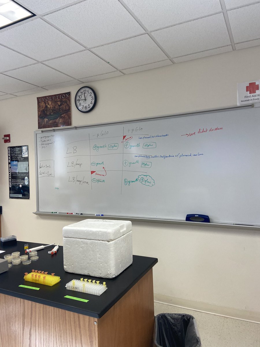 riesbergm's tweet photo. Still haven’t quite comprehended that lab is officially over🙁 what a fun semester!! #106Week15LHF20 @UNKBiol106LH https://t.co/UGVpD1PazF