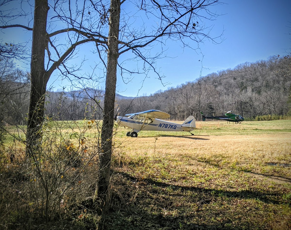 A small contingent at Richland Creek

#a_4ar9
#flyoz
#superlegend
#aviation
#aviationdaily
#backcountryflying
#arkansas