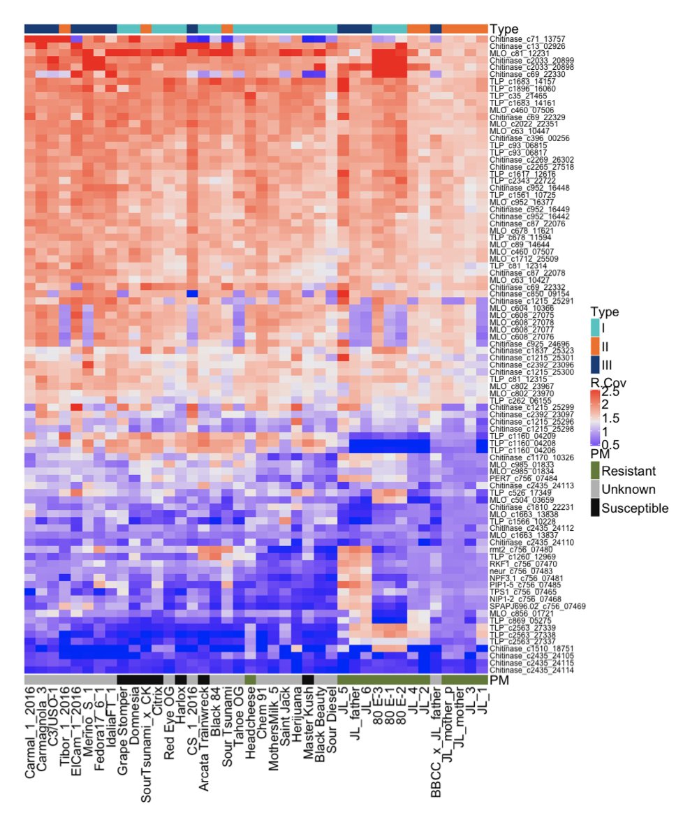 This required 4 Terabases of sequencing across 42 cannabis genomes to smoke out. It led us to clone a few Chitinases and Thaumatin-Like Proteins we found in PM resistant cannabis. These turned out to be excellent Fungal lysis enzymes.  https://www.biorxiv.org/content/10.1101/2020.01.03.894428v1