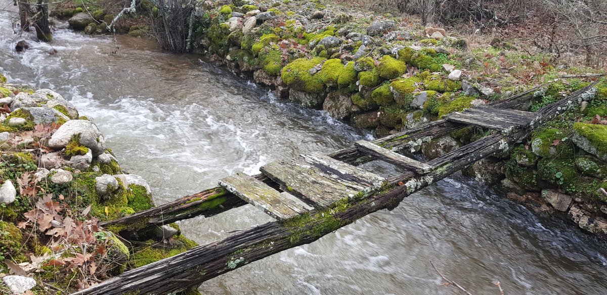 CarlosdeCollado's tweet photo. Lugares olvidados en medio del bosque. 
¿Quién vivió allí, quiénes usaron esa pasarela, dieron vida a este antiguo molino?
#Sotosalbos
@PN_Guadarrama https://t.co/0q2lRh4YCY