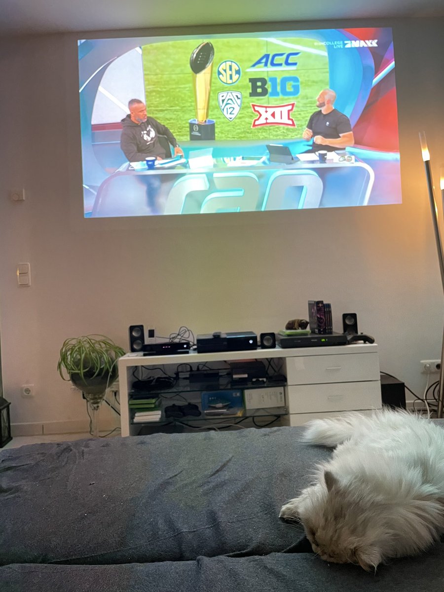 CoruinHalcyon's tweet photo. Liegt es am Spiel oder an den beiden #laberlauch, dass unsere Katze Hedwig schläft? 🤔 #rancollege #ranNFLsuechtig https://t.co/HCU8gMyZVx