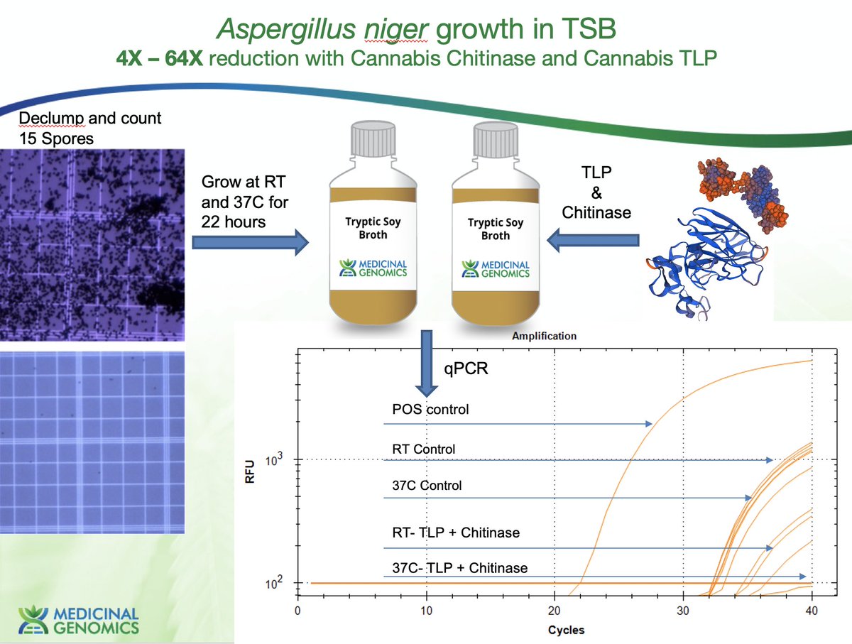So we homogenize the flower in TSB with these enzymes and we see 4-64X more DNA from the yeast and molds and get far better concordance with plating and qPCR.All Seq data public.No guessing what Cq scores mean on assays rushed to the WHO with questionable peer review.