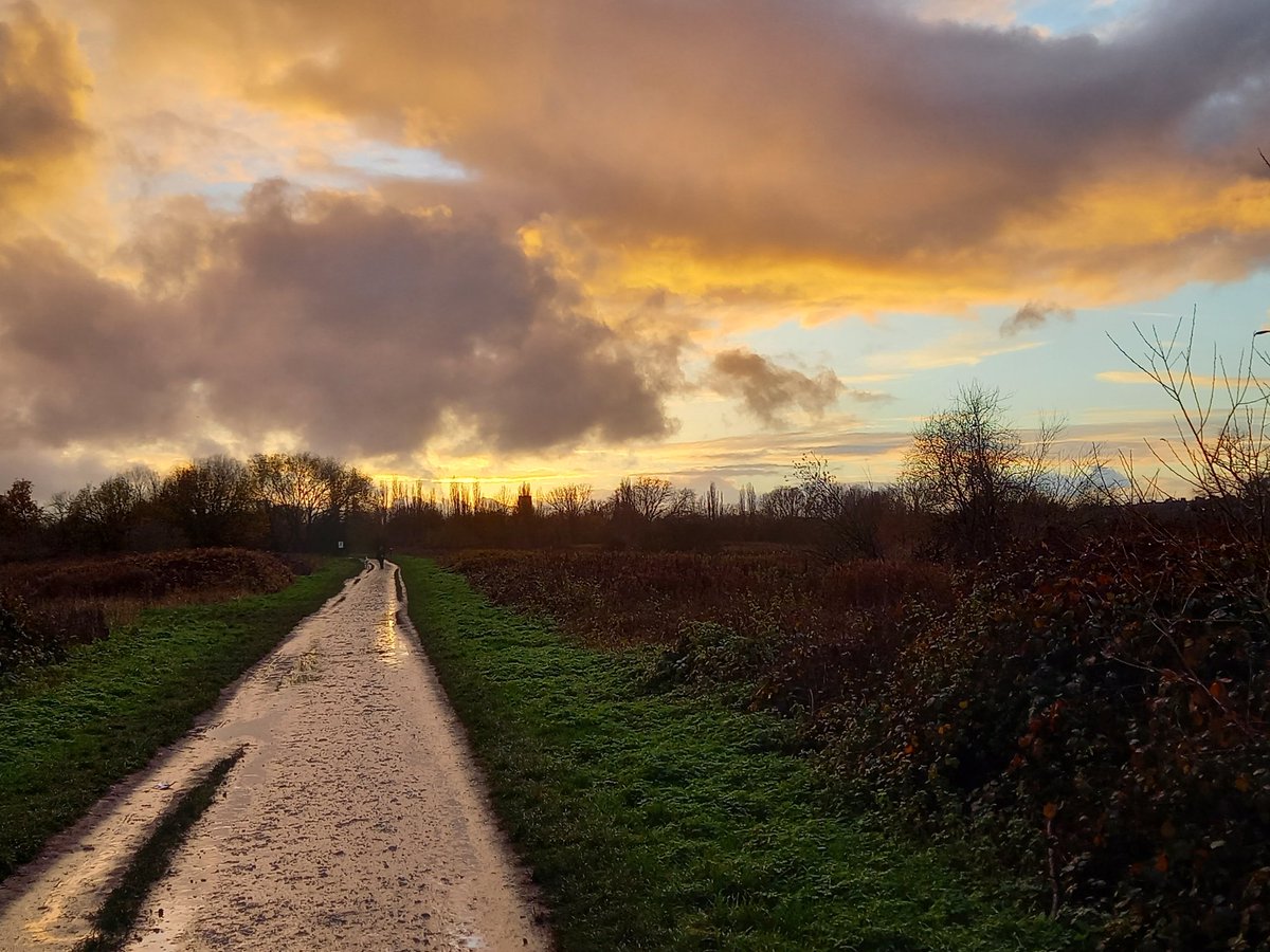 When you need to clear your head after many hours in front of a computer.
#workingfromhome #greenspaces #freshair #nature #WorkLifeBalance #sunset