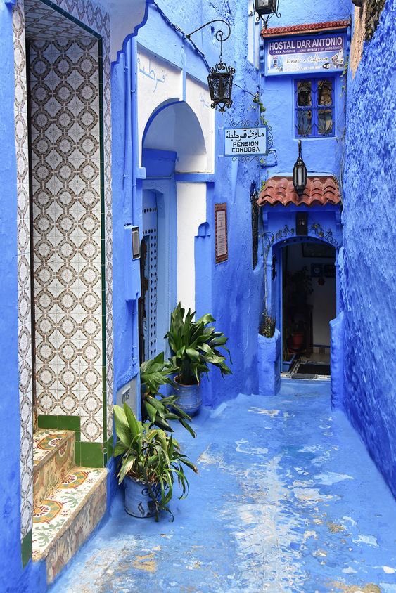 INTERIORPORN1's tweet photo. Welcome to the blue city of Morocco 🇲🇦 https://t.co/9SCLigC1KK
