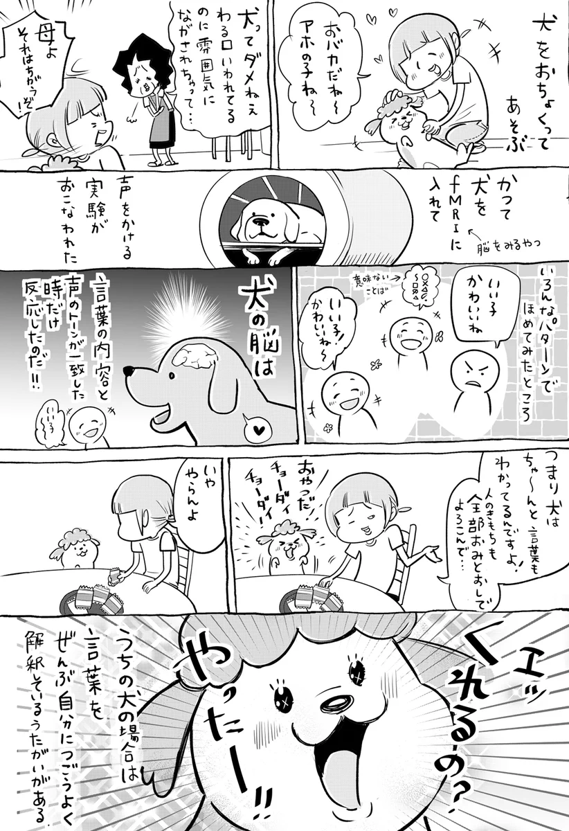 犬＆猫とことばも気持ちも通じたときは？ほんとにたのしい！