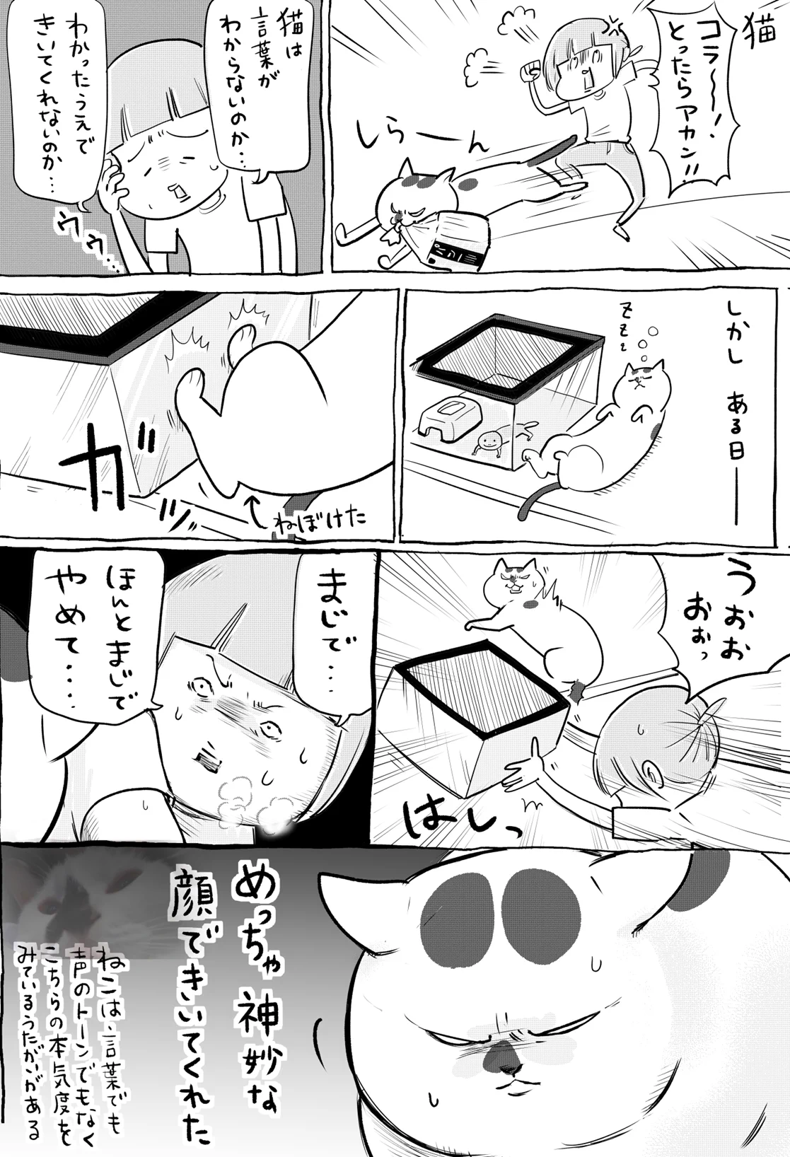 犬＆猫とことばも気持ちも通じたときは？ほんとにたのしい！