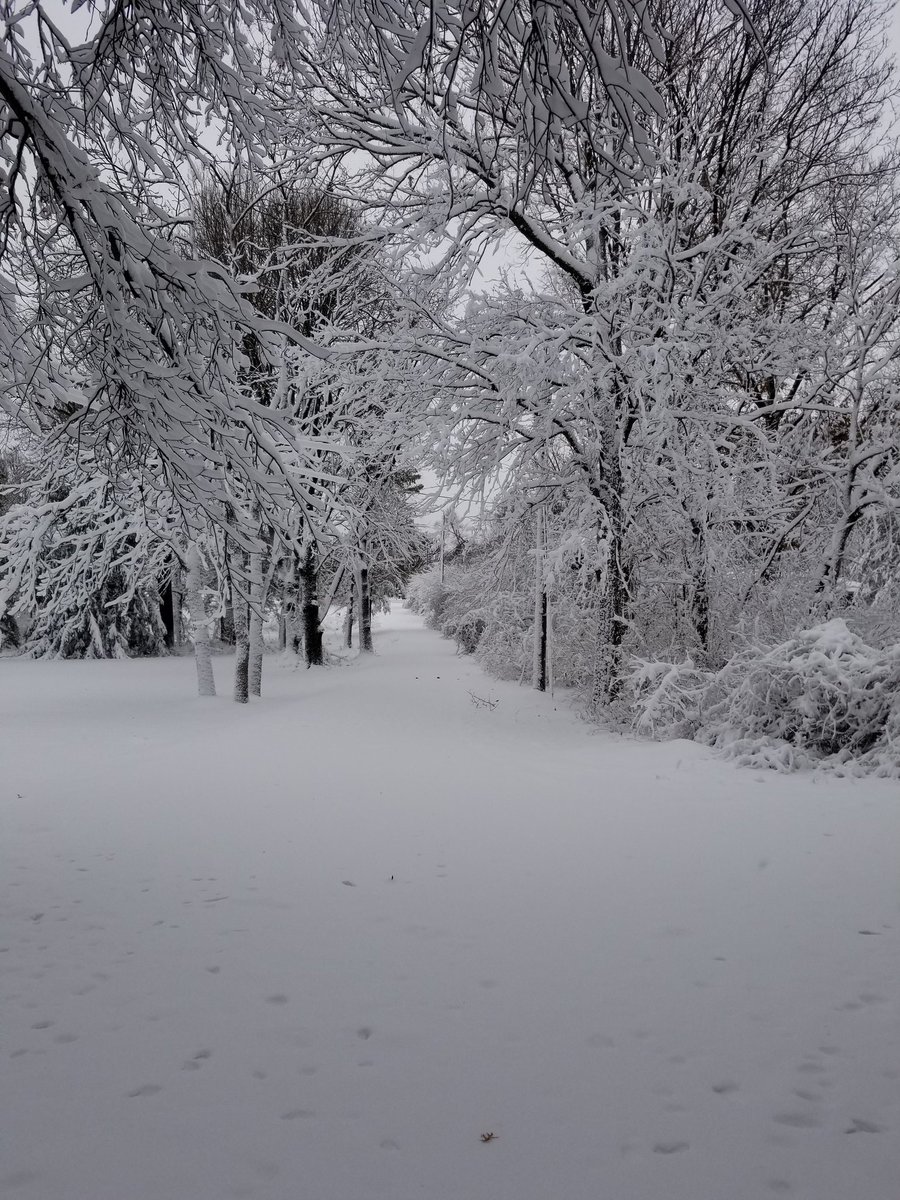 Hai snowday! Even if I will be sore for days after finding my driveway