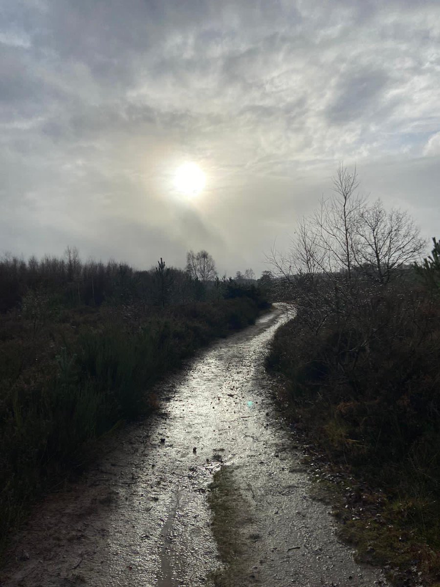 HeathlandHounds's tweet photo. Gorgeous winter sun yesterday at #ChobhamCommon Such a special place this #NationalNatureReserve #lowlandheath #SpecialProtectionArea
@TBHPartnership @SurreyWT https://t.co/HrBT0IDTLE