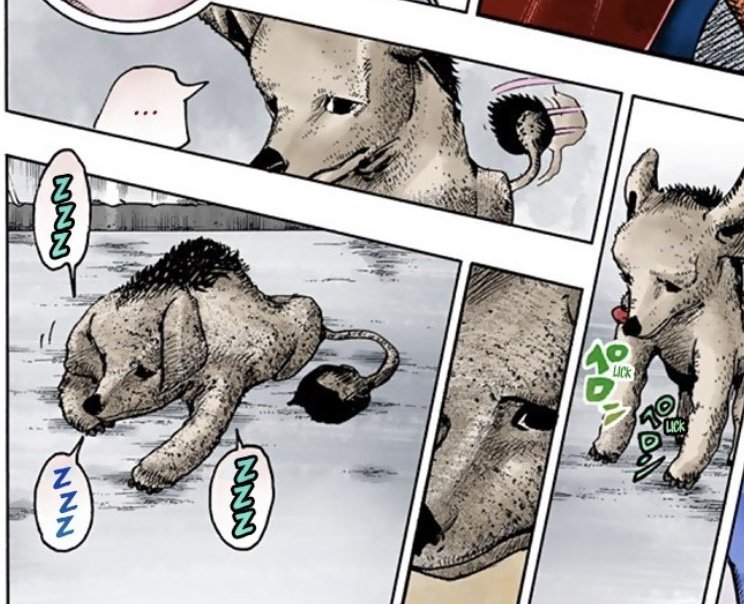 Paperfrogstand's tweet image. He fell asleep 
Rocky/Shitass is now asleep