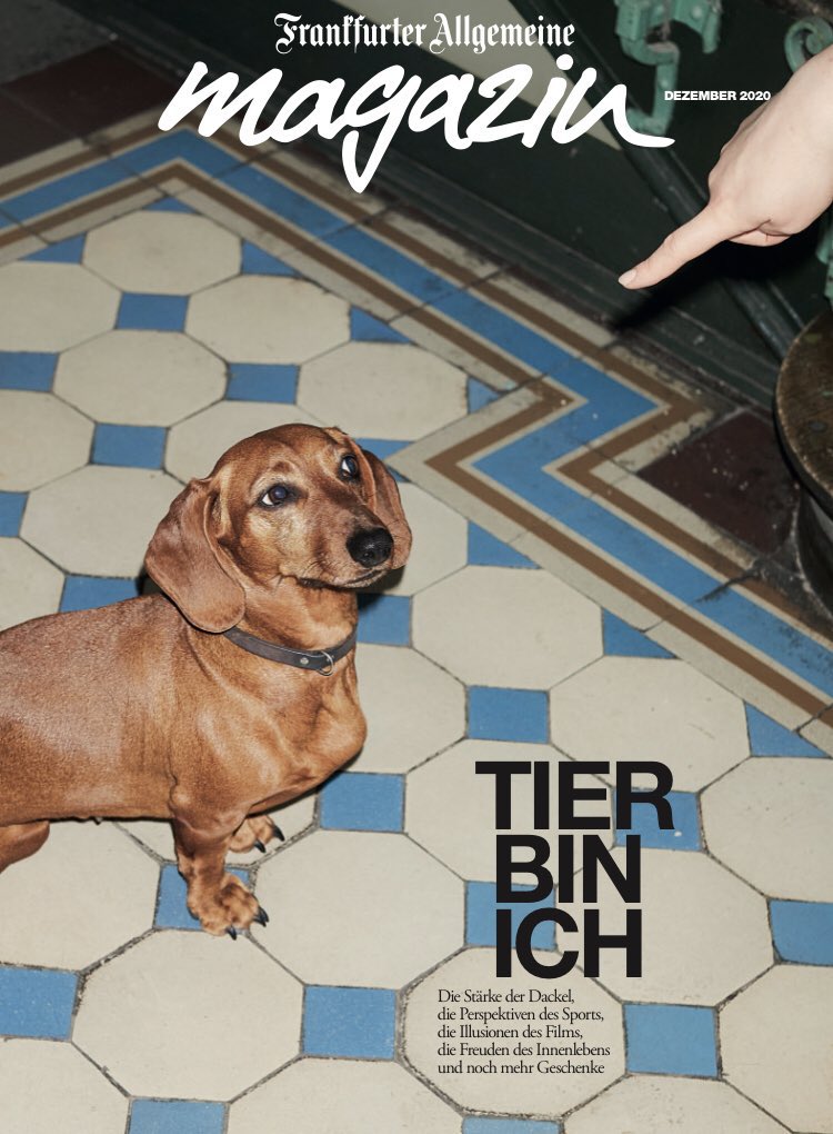 KlaubertD's tweet photo. Wer jetzt noch schnell zum Kiosk dackelt (Kalauer, Pardon!), bekommt dort mit der Samstags-F.A.Z. ein wunderbares @fazmagazin - voll von großen Geschichten und kleinen Geschenketipps 👇🏼 https://t.co/jnsQFIz44L