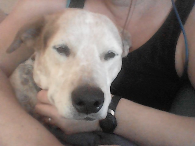 torischroeder9's tweet photo. @JoshRBuckley @ArizonaEA @JayBarbuto @socialbassoon @AZ1Thomas Not sure how much she loves committee work versus how much she loves laps. https://t.co/0002kfEA4m