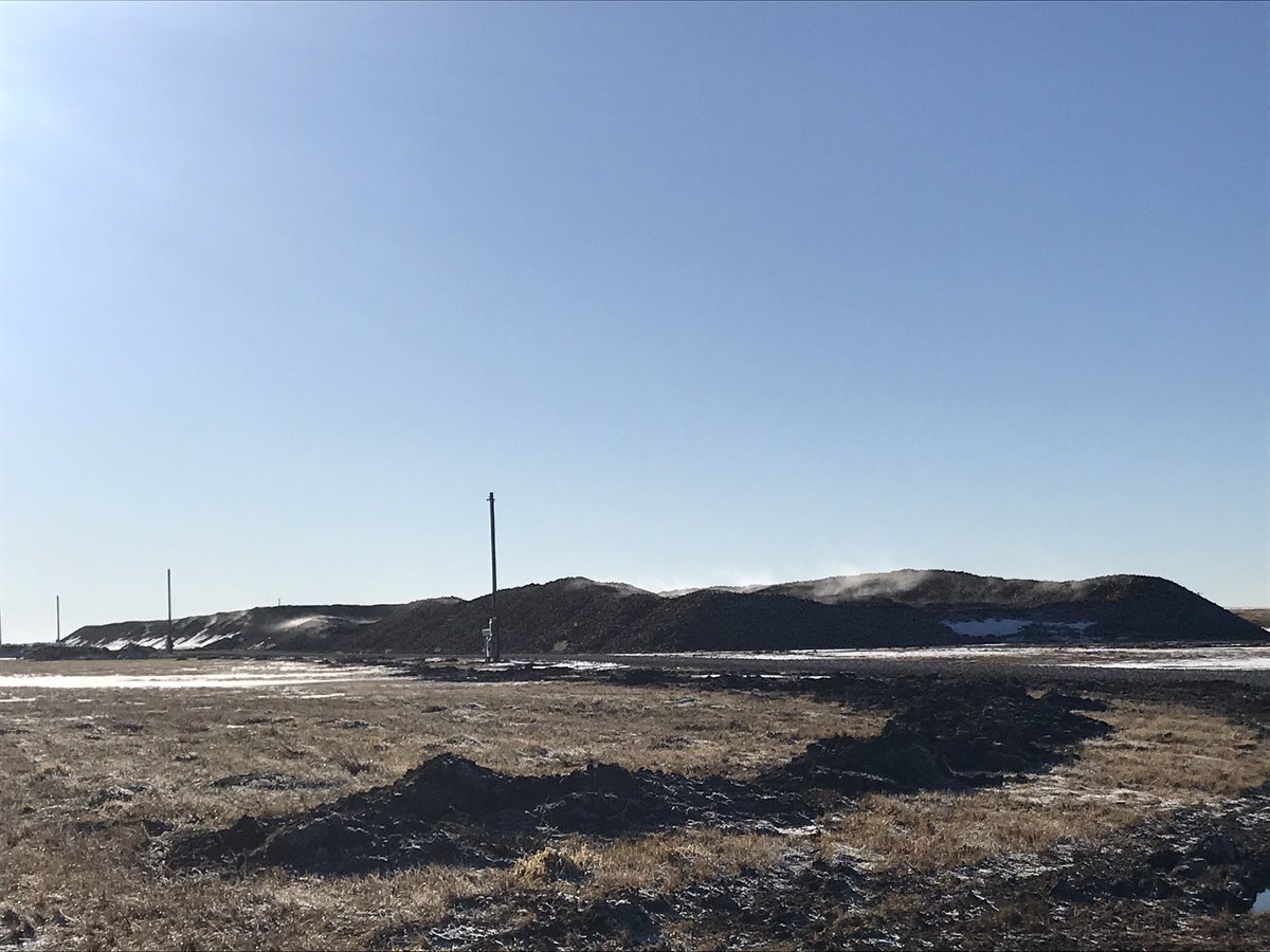 willmuller3's tweet photo. Bit of a storage disaster for beets dug after the last snowfall this harvest. If any1 can find a use for them and would like to pick up some free beets from burdett that are starting to rot please ask Lantic or inbox me for numbers. Roughly 15000 mt need to be discarded. 😔 https://t.co/76wEPdVi4i