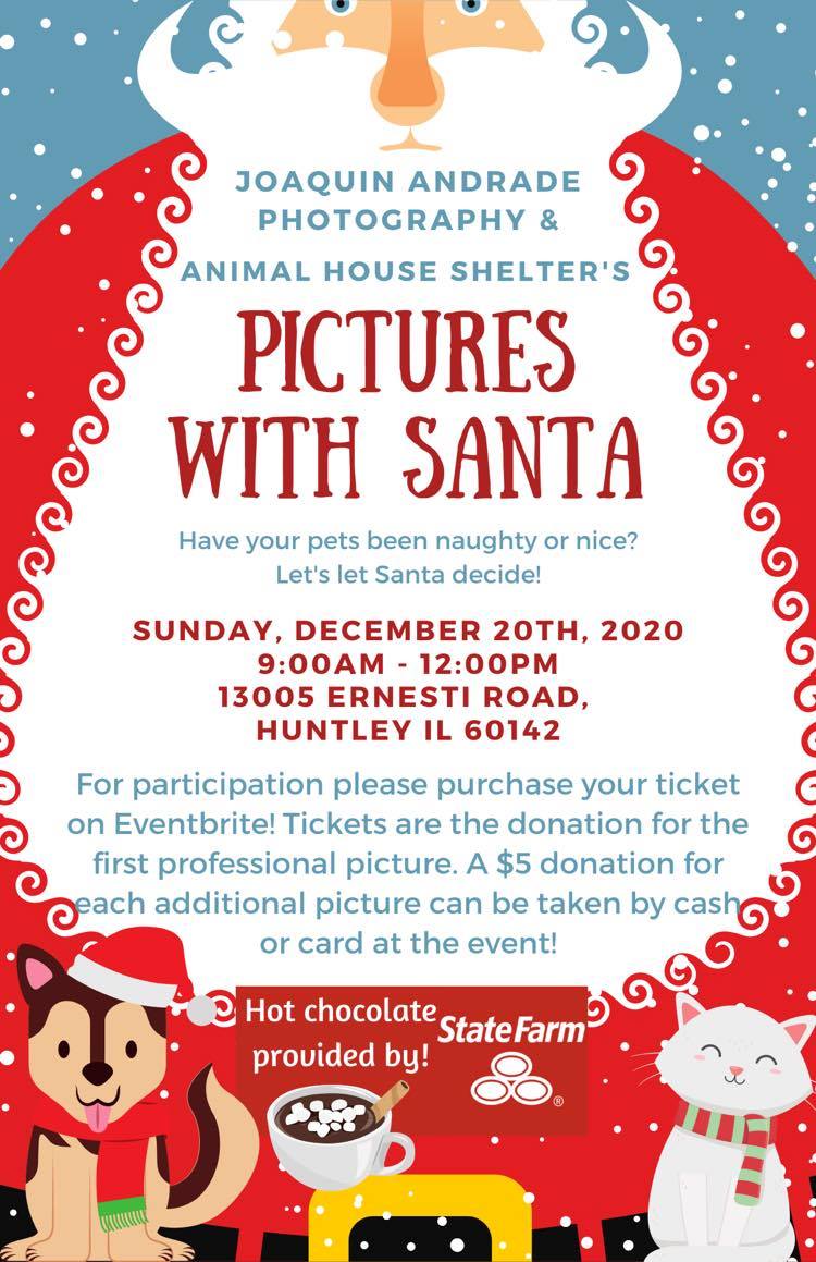 Animal House Shelter (@HuntleyAHS) / Twitter Animal House Shelter (@HuntleyAHS) / Twitter