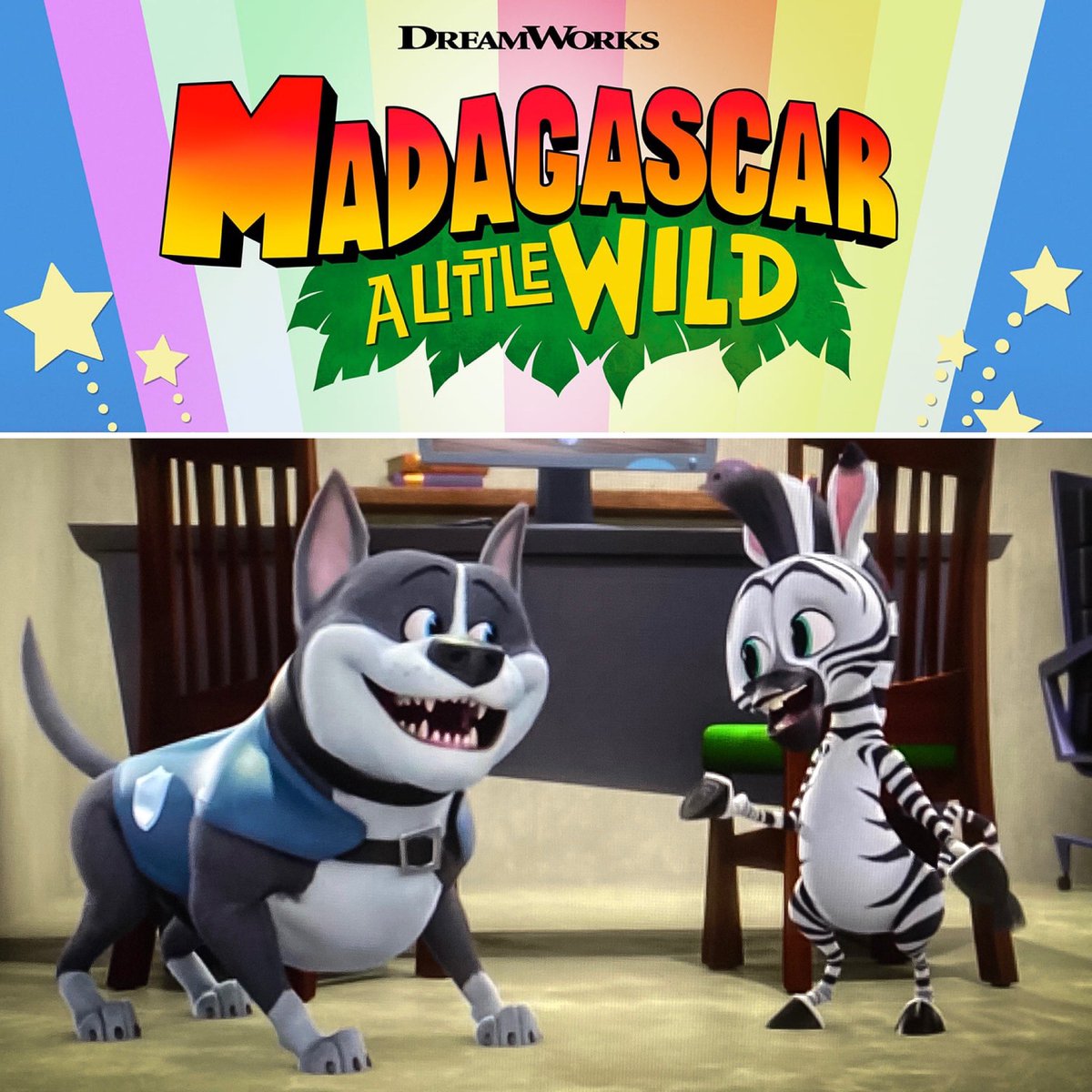 ChristianLanz's tweet image. This is a fun one you can enjoy with the kids! Excited to share that I’ve joined the cast of DreamWorks’ MADAGASCAR: A LITTLE WILD. 
I play “Smitty” the singing pit bull, one of my favorite canine characters to date! 
(Also the only one I’ve played).
#Madagascar #DreamWorks #Hulu