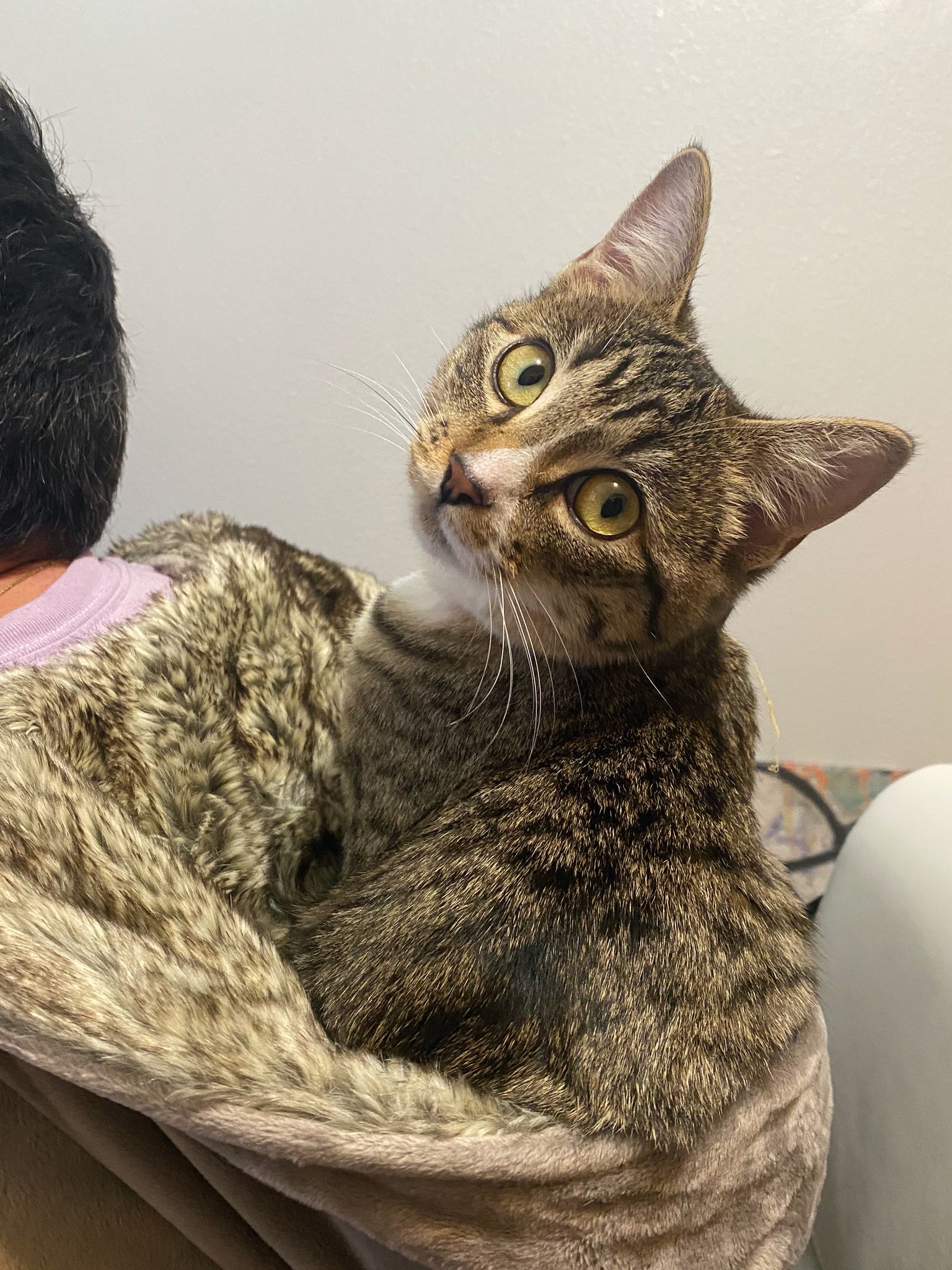 3 pic. As promised, here are some pics of Potato! https://t.co/28iLMTOp0N