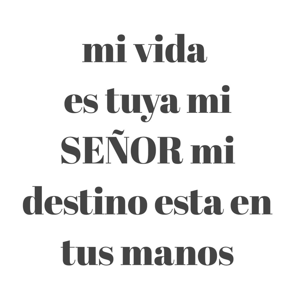 rig_smith's tweet image. 