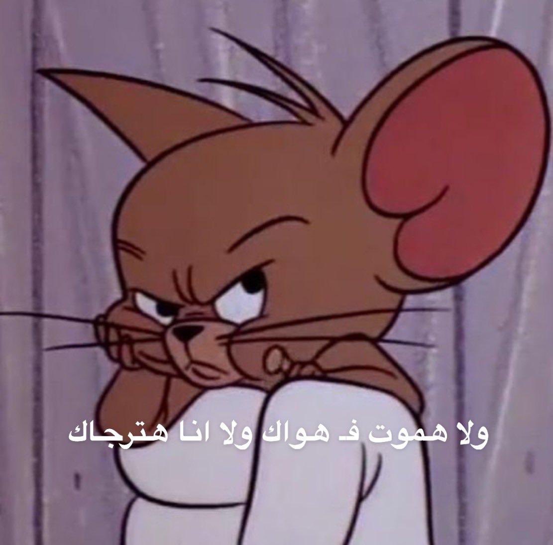 TomJerryRC's tweet photo. https://t.co/FFu296VKZs