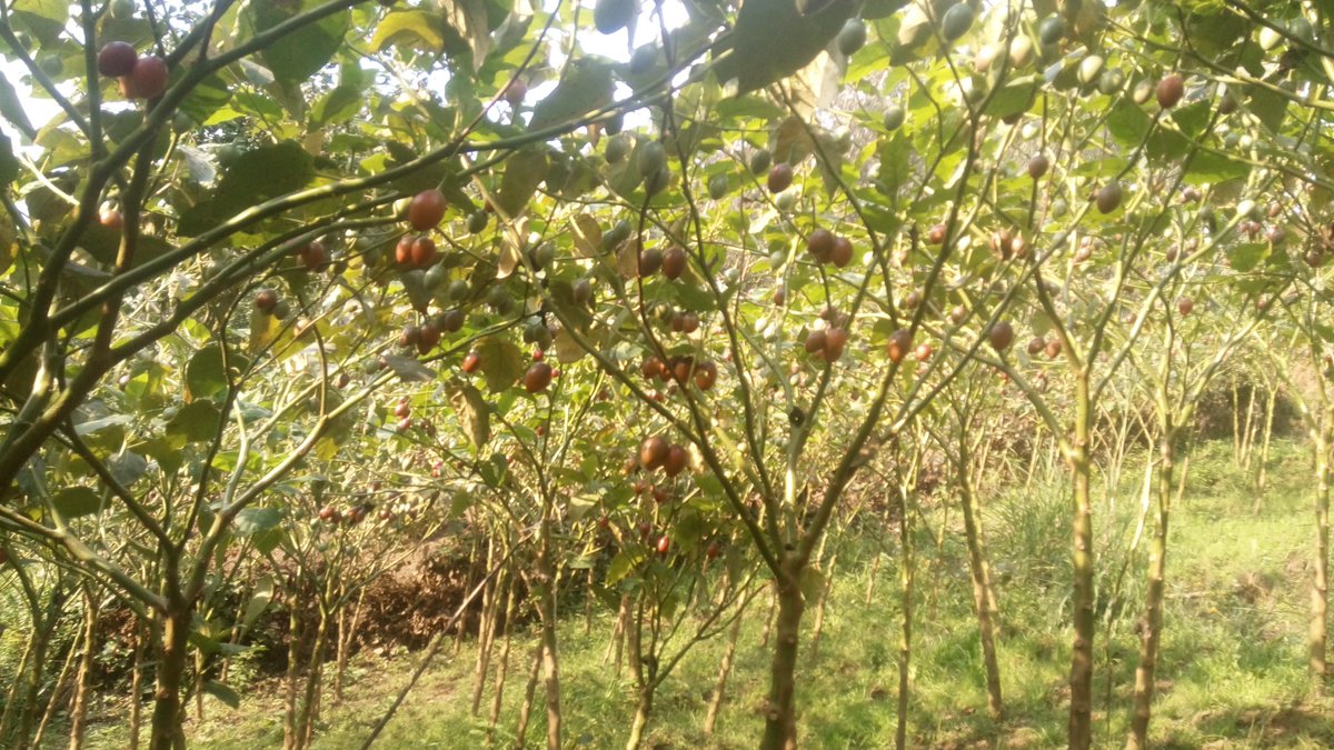 NValeur's tweet photo. #PhonePhotoChallenge https://t.co/CCIG7OWqsr