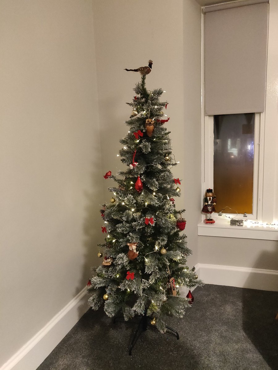 RuralDavie's tweet photo. #OntheTree with @RuralDavie after an absolute grueller of a year -  had to get the ol' crispy tree out to kickstart the Christmas spirit; keeping true to tradition we had to put that absolute dancer on the top again #bupbup #NoPheasantNoParty 🚜🌲🎁🎀 https://t.co/VzjzGGvK8F