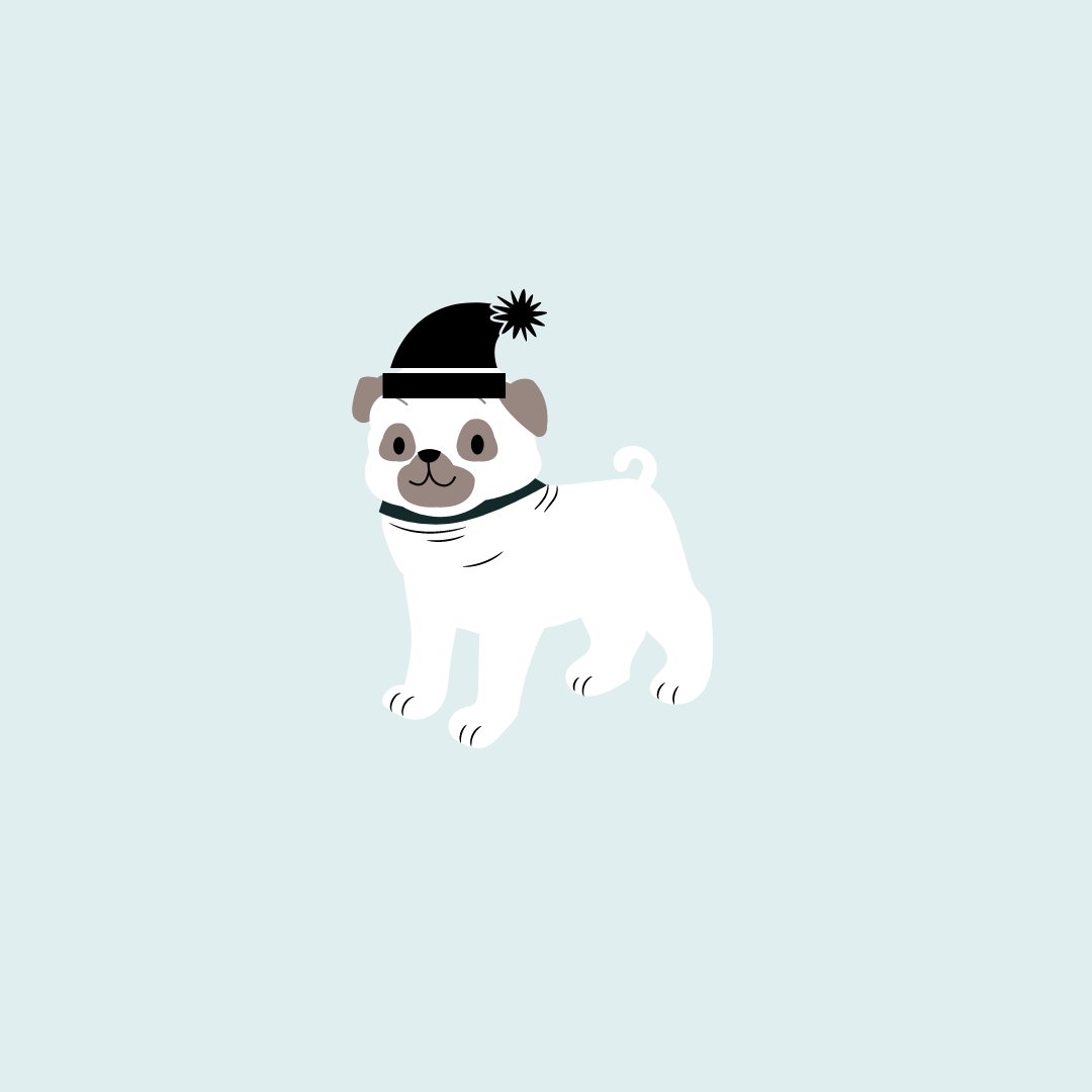 GoodDoginaBox's tweet photo. Looking for Christmas gift ideas for the dogs and dog lovers in your life? Check out our gift shop https://t.co/Q9t1YhHtkR https://t.co/74Z6O5II8h