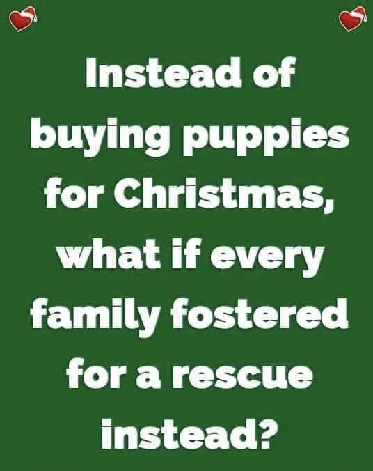 TheRealToriNYC's tweet image. Please RT