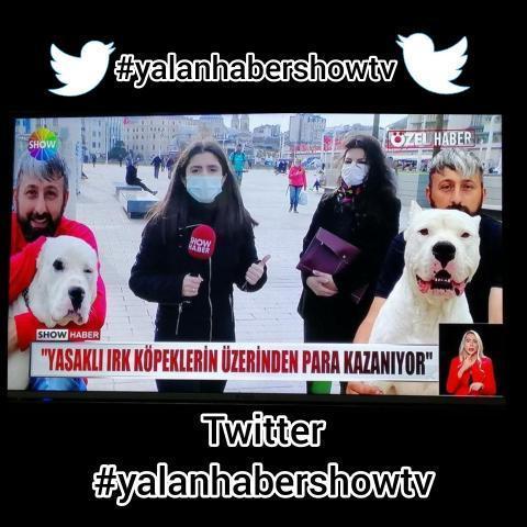 Pelin47106712's tweet photo. rezilliğinizle övünebilirsiniz bu kadar insanı salak yerine koydunuz ya 
@showanahaber 
@ShowTV 
#yalanhabershowtv https://t.co/9CSizMmBaA