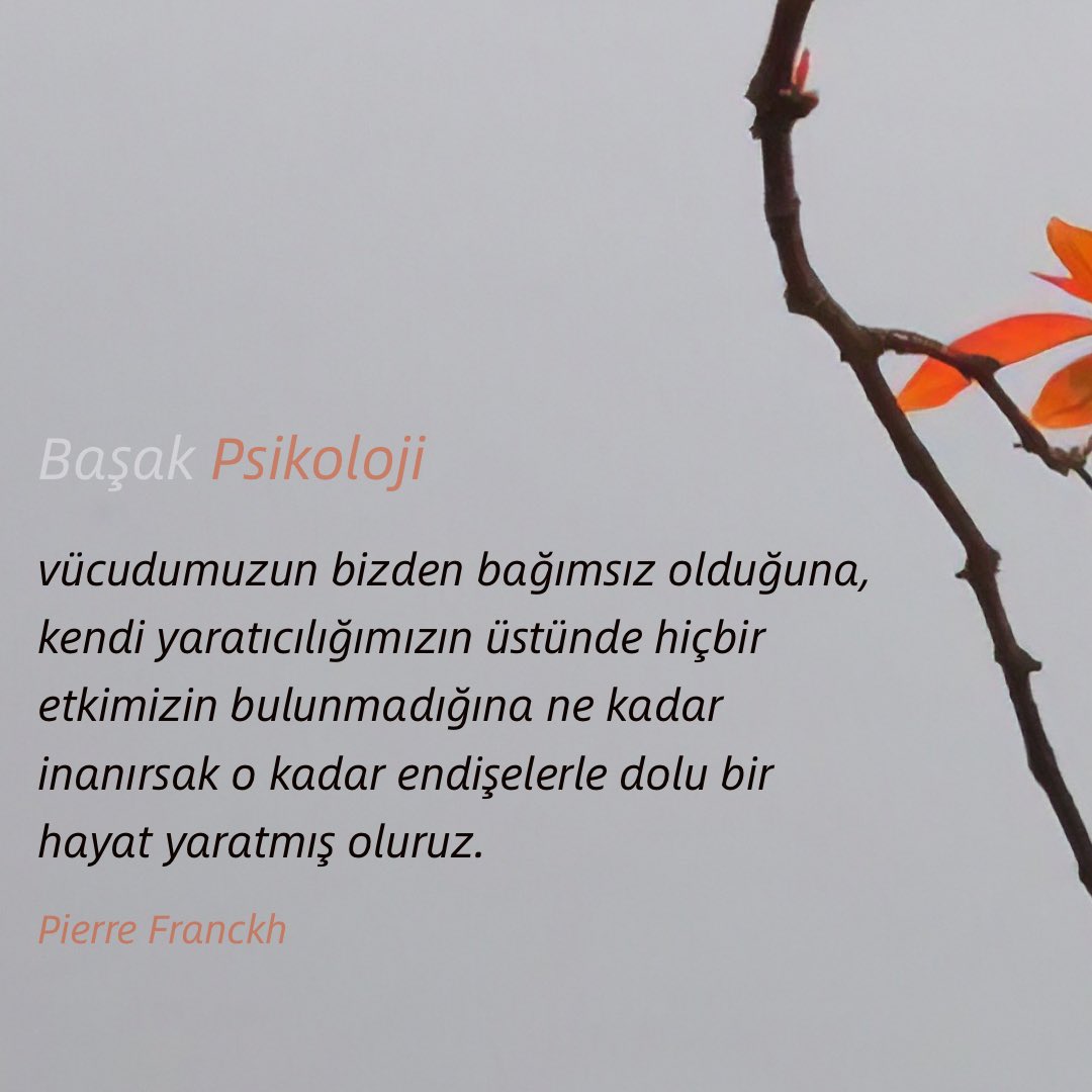 basakdonusumak's tweet photo. Düşündüğümüz şeyiz... 🦋🌾 https://t.co/OVvKc2w837