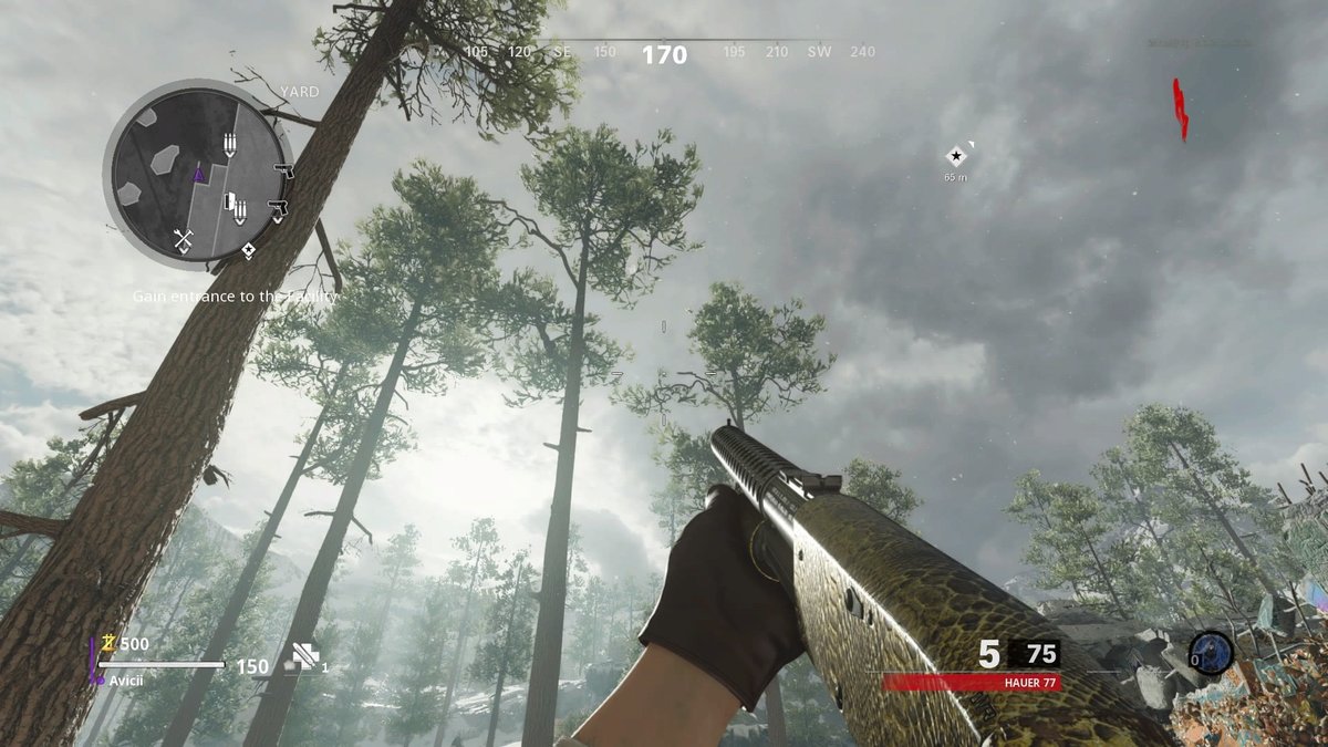 StormesALT's tweet photo. 16/29 Diamond Shotguns https://t.co/rBPisT8C2f