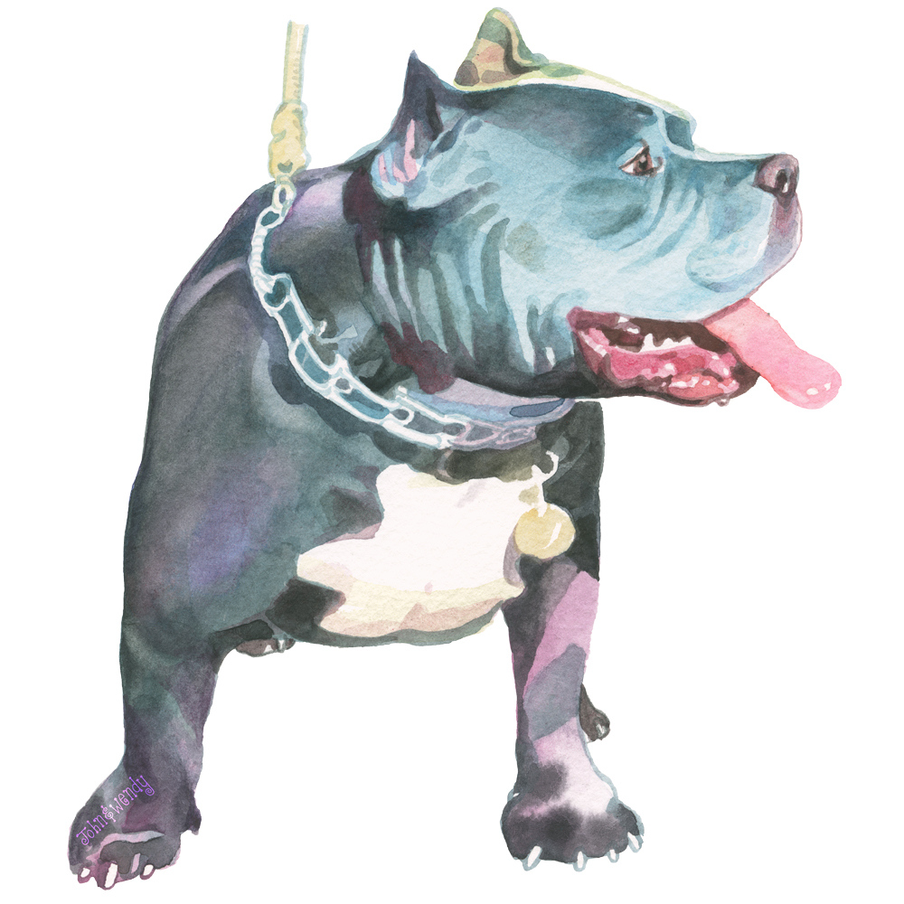 PositivelyDogSt's tweet photo. It's not too late to get a dog for the holidays. Fine art dog prints. 40 breeds. Woof!

https://t.co/926fdFIdJN

#dogprint #shopsmall #staffie https://t.co/Dz0Kii0gPo