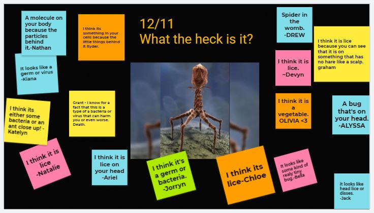MrsEmerysClass5's tweet photo. My students love these Friday "What the heck is it?" challenges. (Credit:  D. McHugh) https://t.co/zVbMYhc3gW