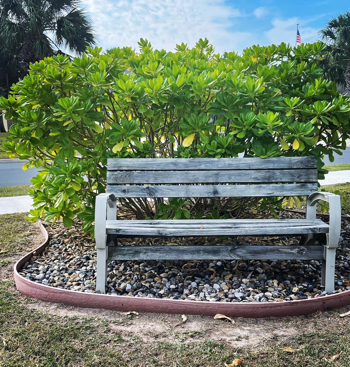 Dr. Debster✌️ tweet media