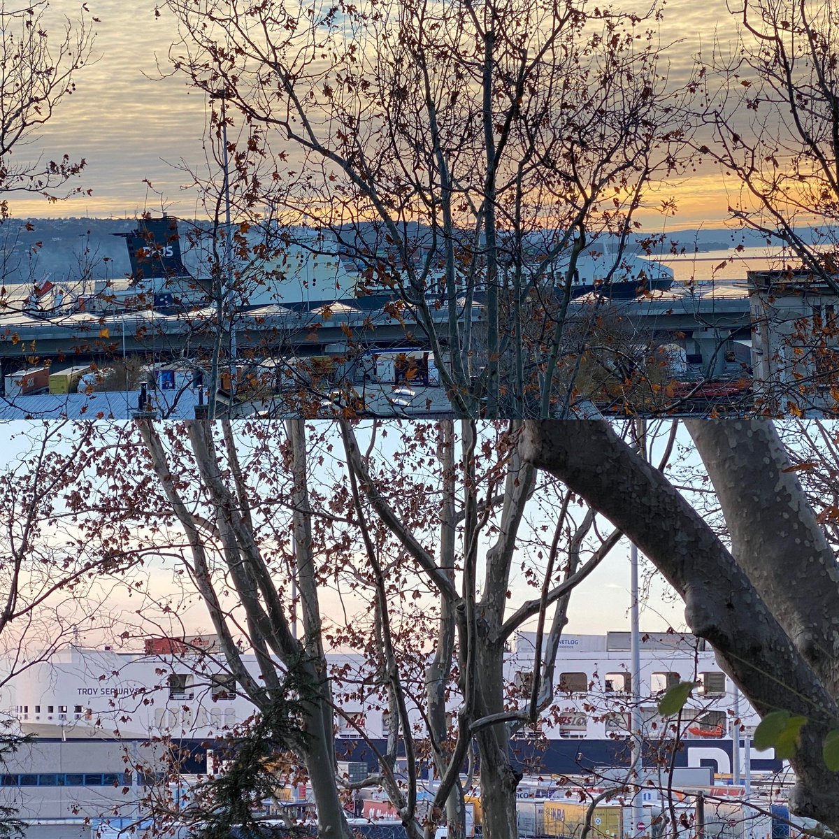 Walking 10K on a crisp Saturday with a view to the #portoftrieste through the almost naked autumn trees. #dfdsbumed #dfds facilitating Turkish trade with Europe and providing jobs to thousands of people in the maritime environment in the process 💪