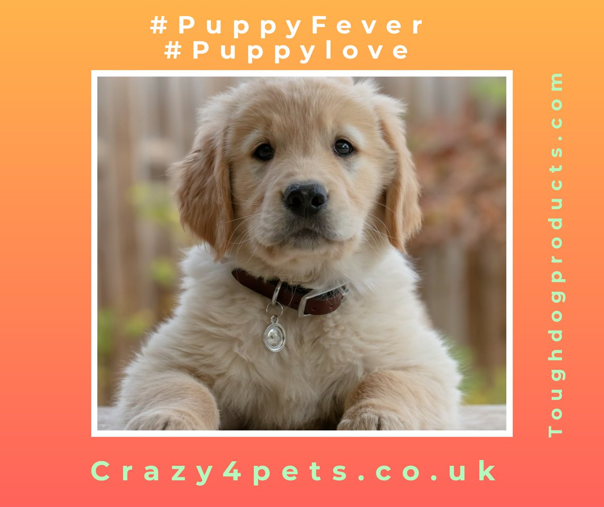 crazy4pets.co.uk
#facebookpost #instagramdogs #crazy4petscouk #toughdogproducts #dogslife #workingdogsofinstagram #cutedogs #petdogs #sportdogs #puppylove #puppyfever