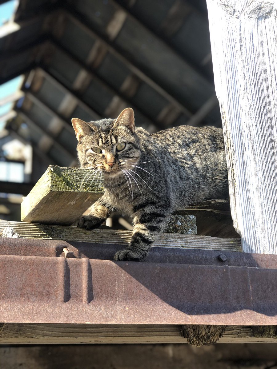 It is also challenging to address depression, as it affects your mind and motivation, and the solutions involve using exactly those things.