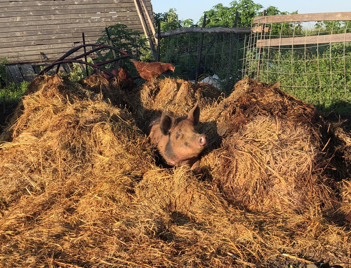 I also see a psychiatrist, who is helping me find the right mix of medications to bring the depression to a manageable level to better implement the strategies I am working on with my therapist.