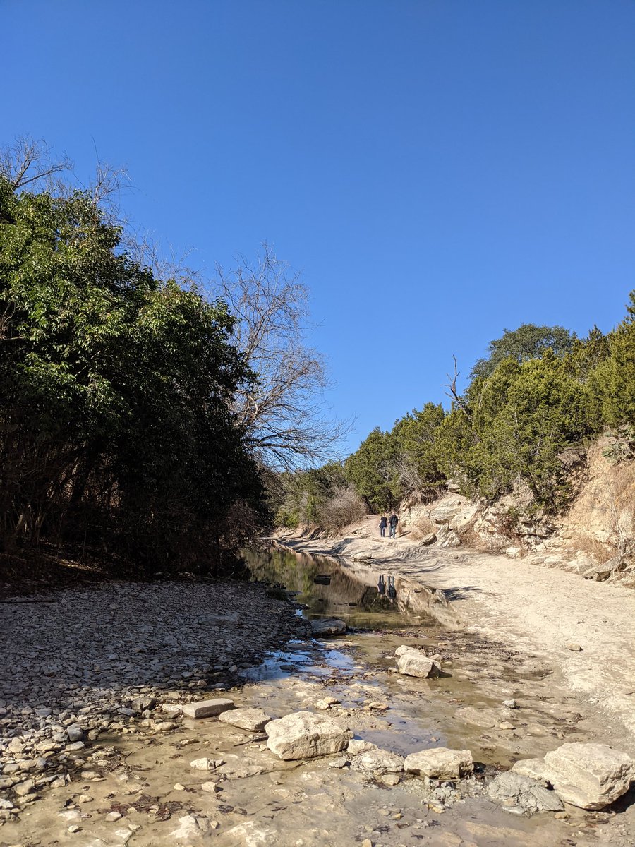 barnettlorri's tweet photo. Stunning afternoon in #Austin today. #atxwc #atxhikes #hiking #hikingrules https://t.co/b1I0GDmK58