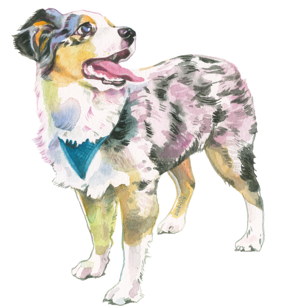 PositivelyDogSt's tweet photo. It's not too late to get a dog for the holidays. Fine art dog prints. 40 breeds. Woof!

https://t.co/926fdFIdJN

#dogprint #shopsmall #aussie https://t.co/clPo4HXdW3
