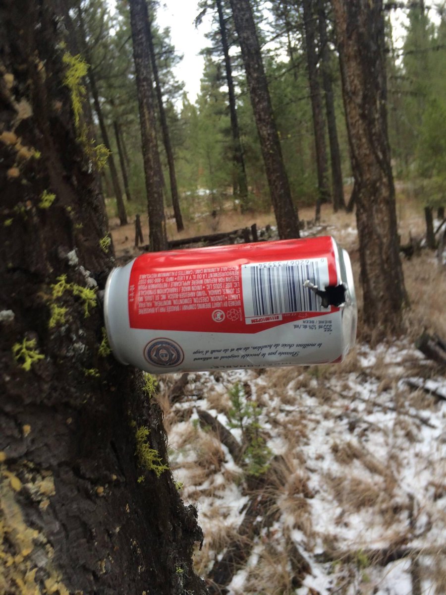 Leo Baggio tweet media