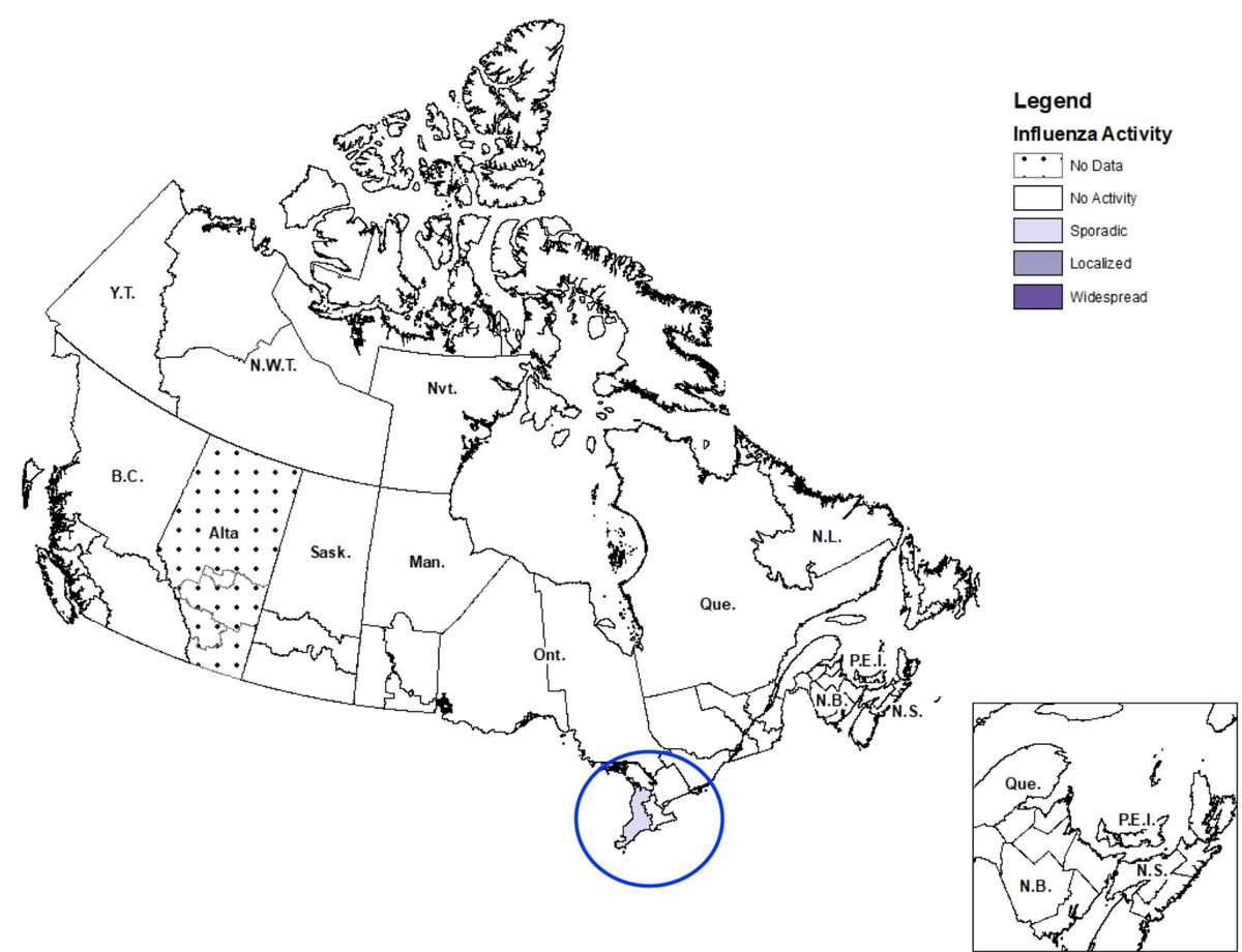 3. In Canada, they're looking for but not seeing much flu at all. Only southern Ontario is reporting "localized" flu spread.