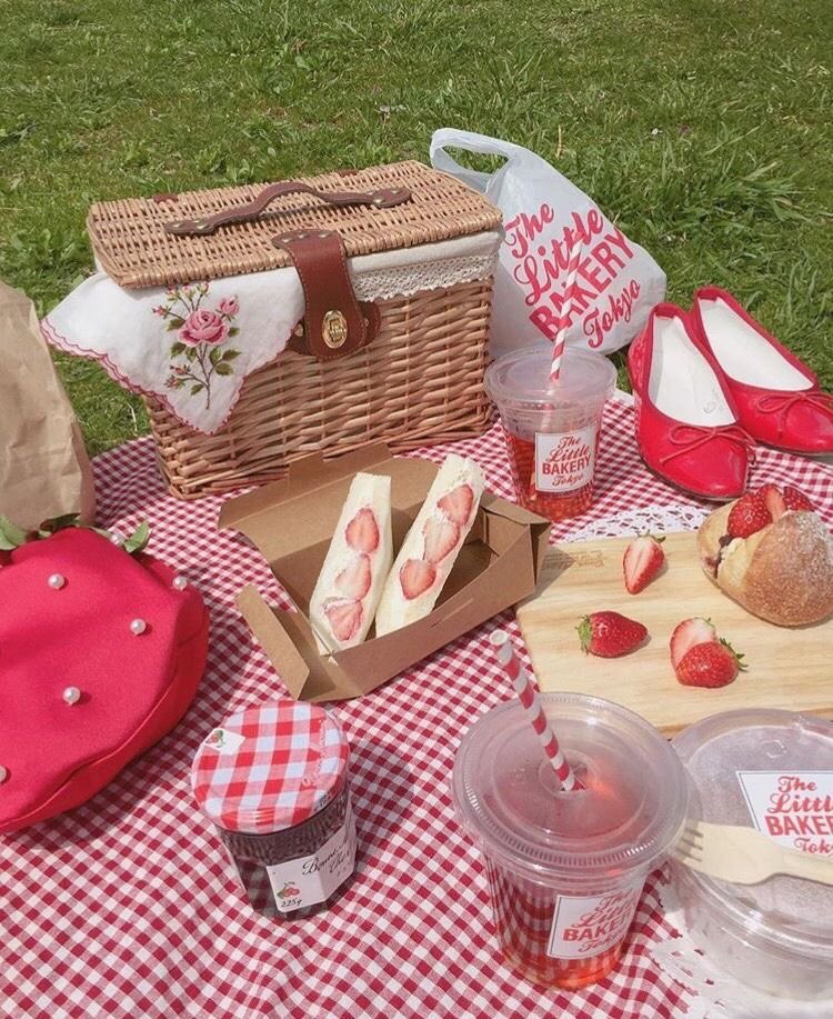 have you ever been on a picnic?