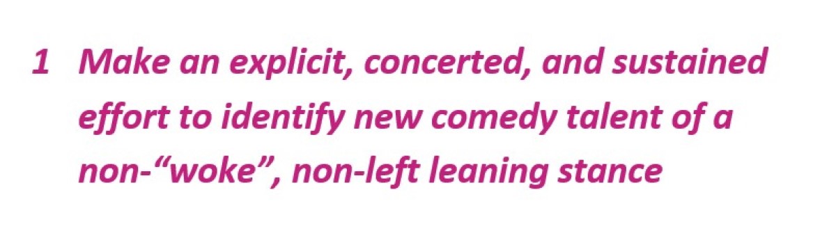 This is an easy issue to remedy, and we hope that under the new Director General, the BBC makes a concerted effort to put diversity of outlook and values – true diversity – at the heart of its comedy programming.With this in mind, we recommend the BBC should: